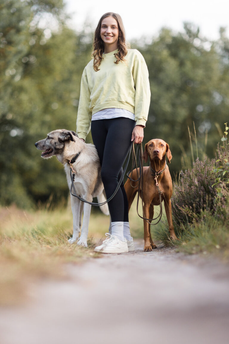 Hundetraining Münster - Rebecca von mindbodydog, ein Jagdhund und ein Tierschutzhund im Wald von Münster